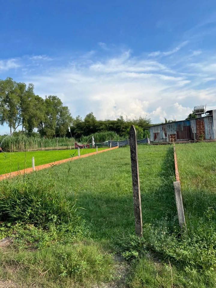 Đất nền An Nhơn Tây 240m² giá 1.75 tỷ - Sổ hồng đầy đủ, đầu tư sinh lời!