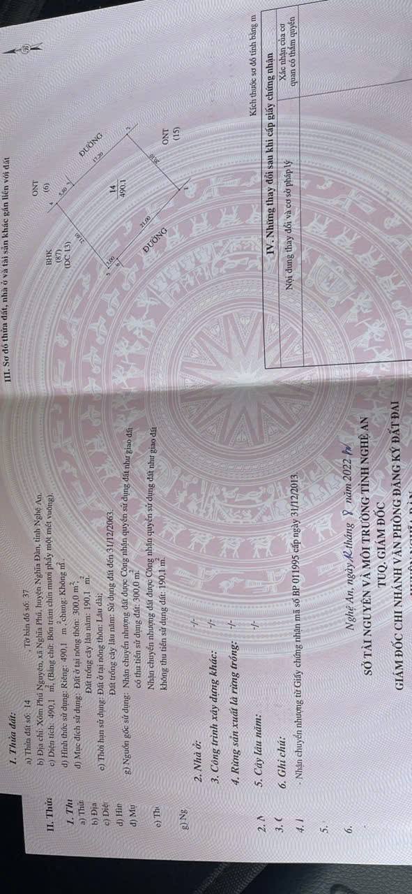 Đất thổ cư 300m² tại Nghĩa Thọ, Nghĩa Đàn - Đầu tư sinh lời lý tưởng!