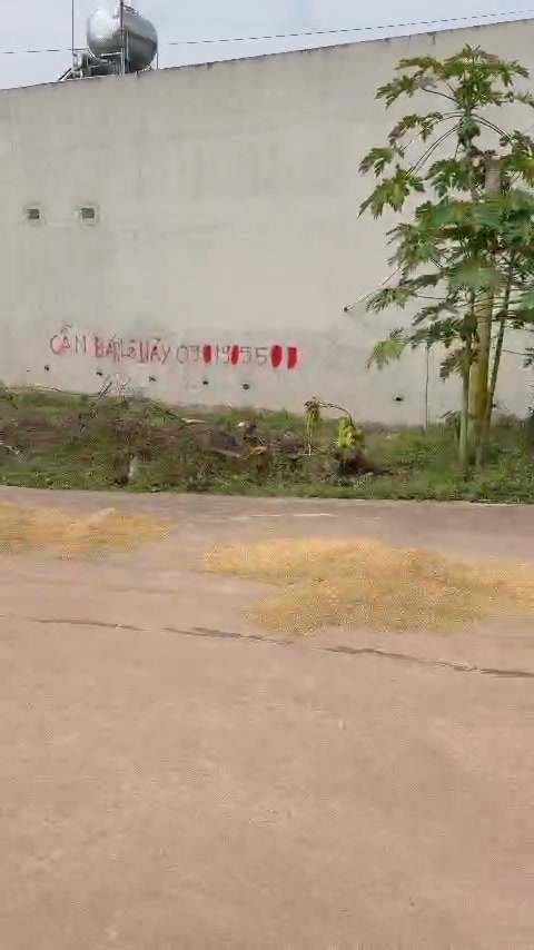 Đất nền Ngọc Lý Tân Yên 142m² giá 1.1 tỷ - Lô góc hai mặt tiền siêu đẹp!