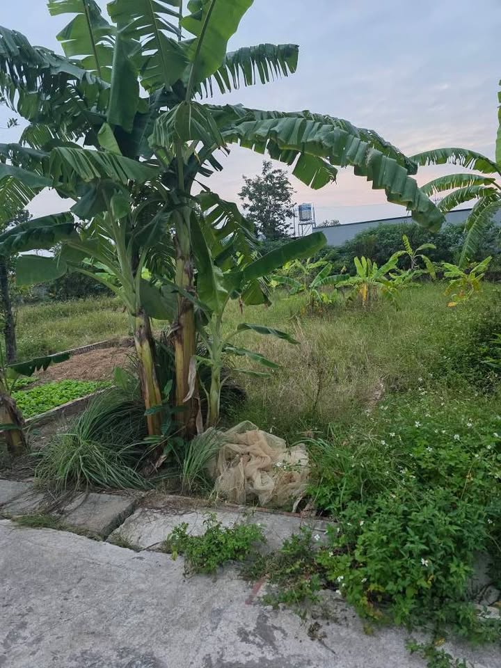 Đất nền Ngọc Khám, Gia Đông, 73m² giá 2.05 tỷ - Ô tô vào tận nơi!