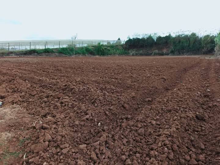 Đất sào chính chủ tại xã Quảng Lập, Đơn Dương, Lâm Đồng - Tiềm năng đầu tư tốt!