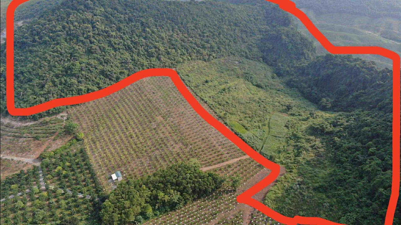 Đất nông nghiệp 7ha tại Đồng Tâm, Lạc Thủy, Hòa Bình - Sổ đỏ chính chủ, giá thỏa thuận!