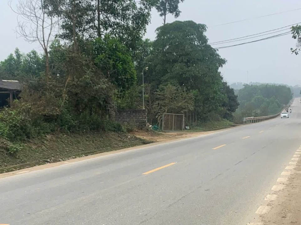 Đất nền Thường Xuân 903m² giá 1 tỷ - Đầu tư sinh lời ngay!