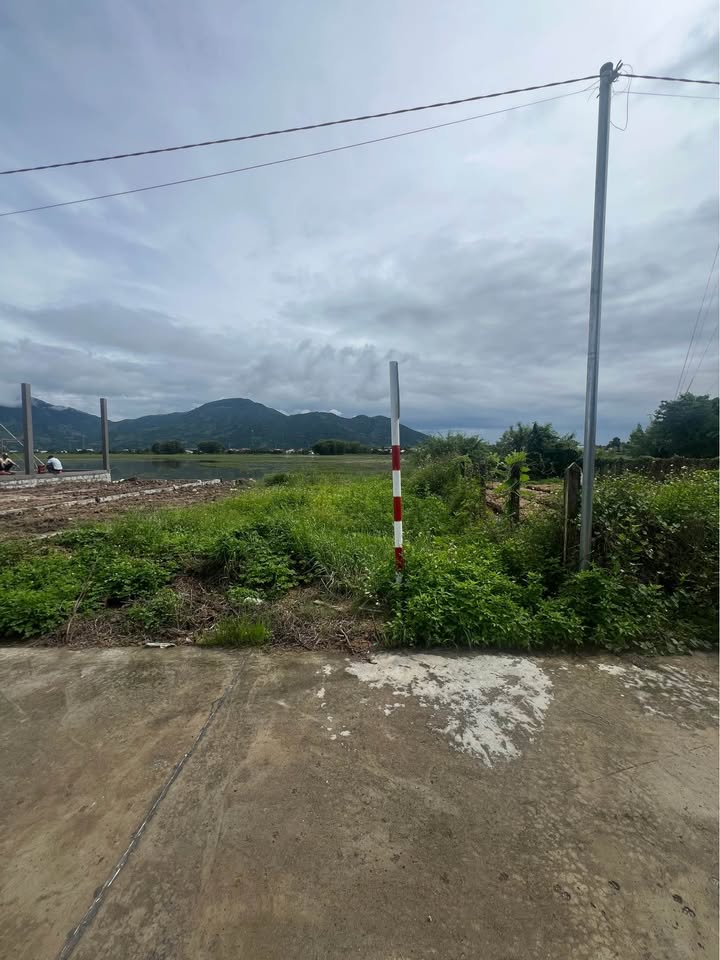 Đất thổ cư Diên Sơn, Diên Khánh 115m² giá 890 triệu - Đường bêtông rộng rãi!