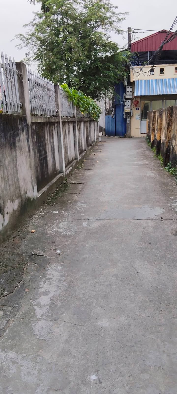 Đất nền 44m² tại tổ 8, phường An Dương, giá thỏa thuận - Cơ hội đầu tư tuyệt vời!