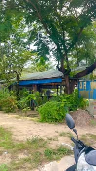 Đất mặt tiền Quốc lộ 1A, Xuân Lộc, Đồng Nai - Diện tích 729m², cơ hội đầu tư tuyệt vời!