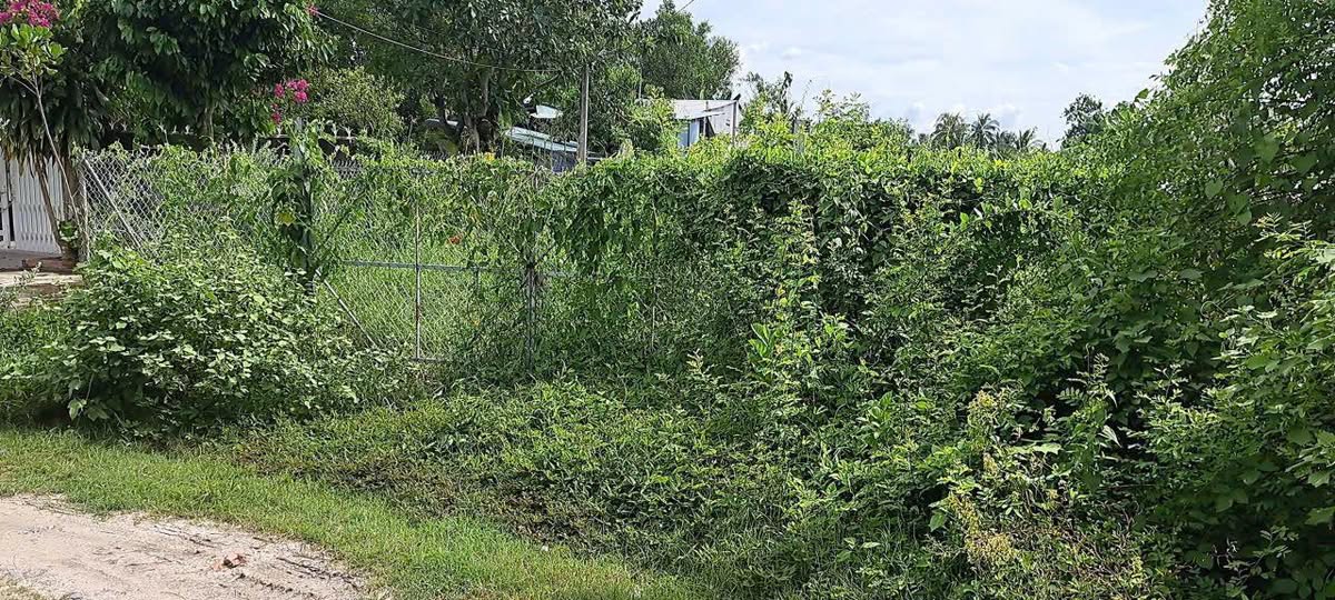 Đất nền Tam Hạp, Thái Bình, Châu Thành, Tây Ninh 750m² - Giá chỉ 850 triệu!