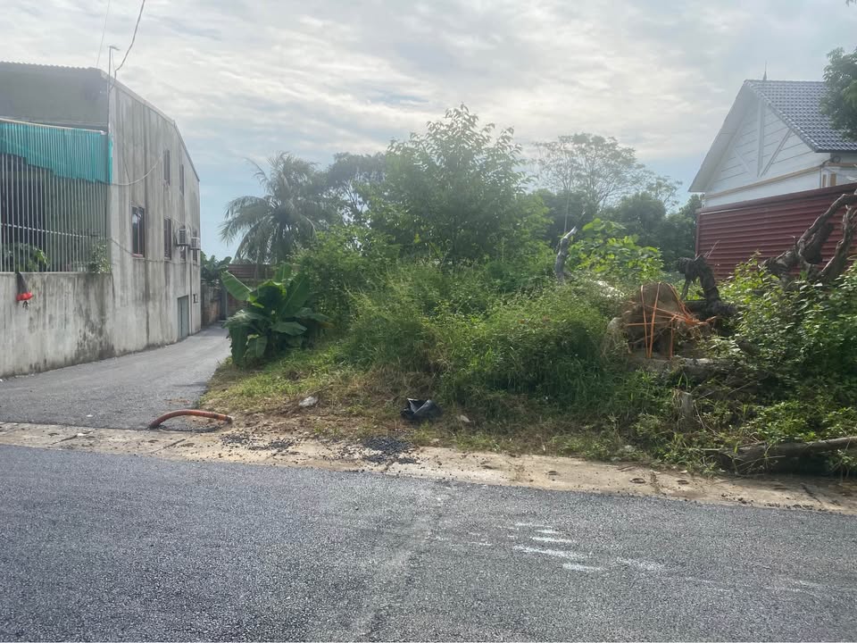 Đất nền lô góc 98m² tại Hương Sơn, Bình Xuyên giá chỉ 1.5 tỷ - Cơ hội đầu tư tuyệt vời!