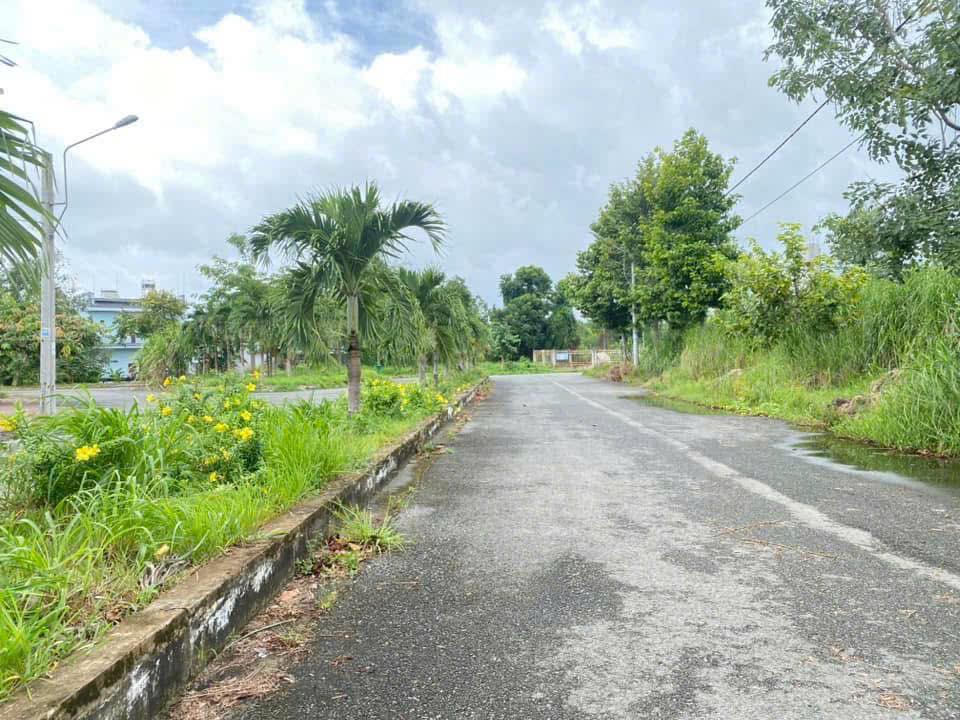 Đất nền đường Số 1, xã Nhơn Nghĩa, huyện Phong Điền, 119m² - Giá 1.59 tỷ thương lượng!