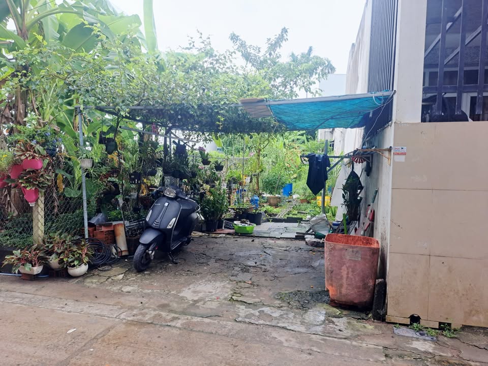 Đất nền thổ cư 74.3m² hẻm 1 Trần Vĩnh Kiết, An Bình - Đầu tư sinh lời lý tưởng!