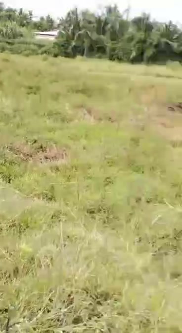 Đất nền mặt tiền 5000m² tại Sóc Trăng - Tiềm năng đầu tư lớn!