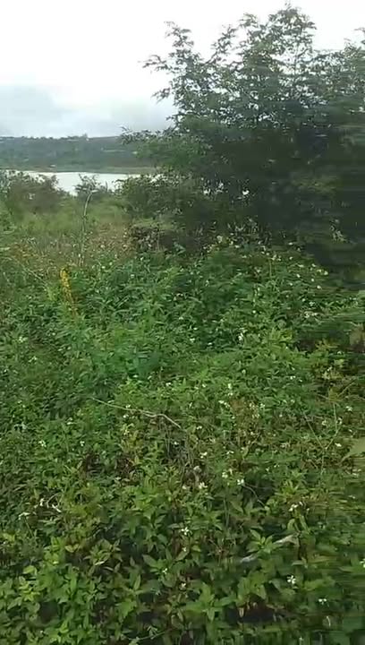 Đất nền Tam Giang 30.000m² giá 3.5 tỷ - Cơ hội đầu tư tuyệt vời!