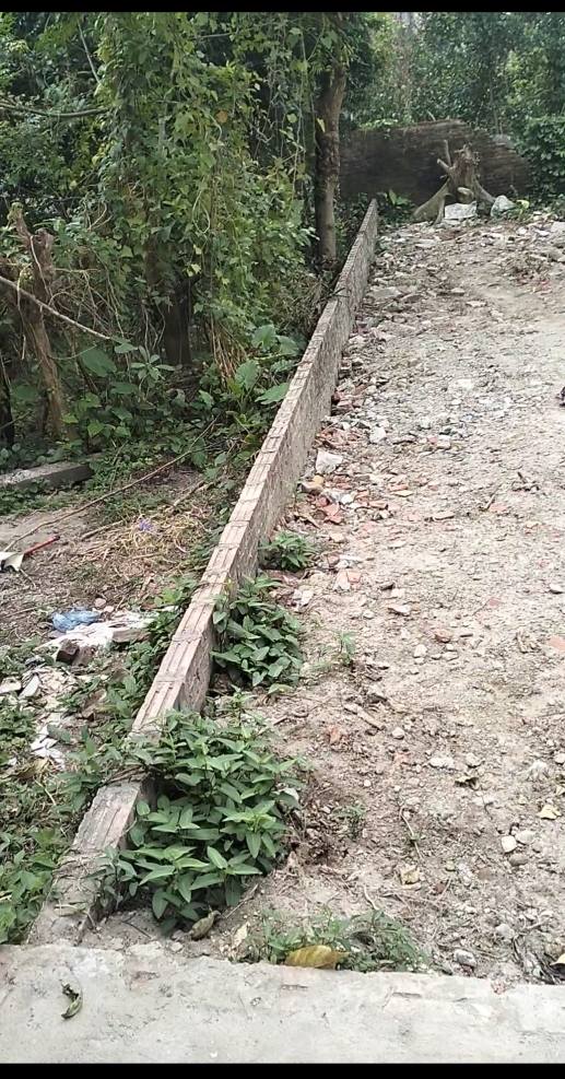 Đất thổ cư Đặng Xá 43m² giá 200 triệu - Gần chợ và trường học