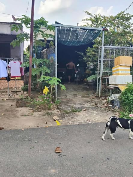 Nhà ấp 1, xã Phú Tân, huyện Định Quán 121m² giá 480 triệu - Bán gấp, chính chủ!