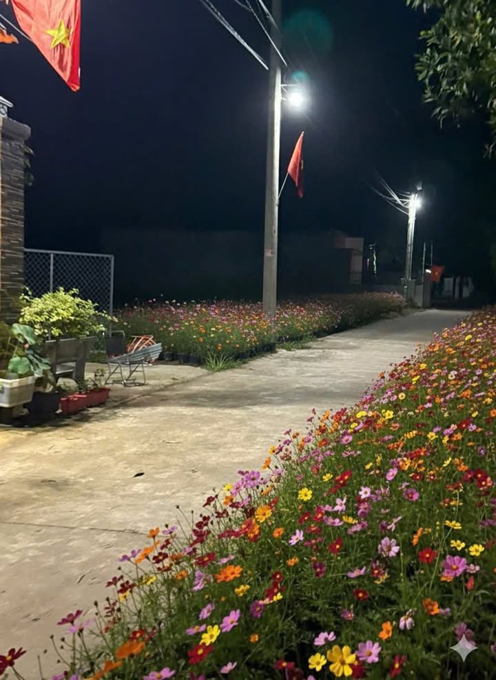 Đất nền Sông Trầu, Trảng Bom 130m² giá 1 tỷ - Sổ đỏ chính chủ!