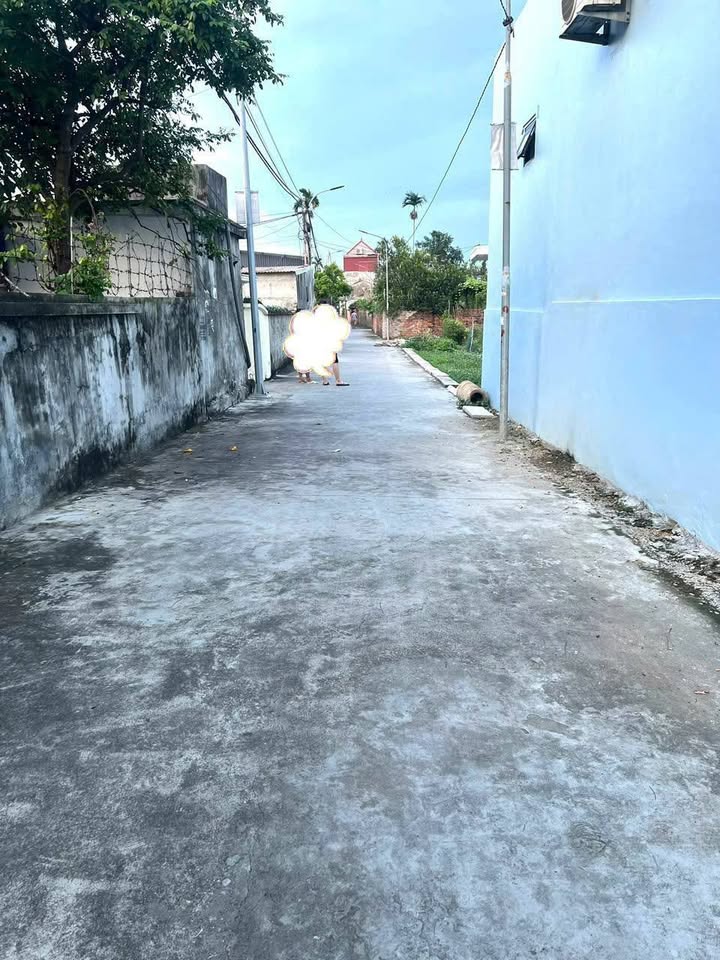 Đất nền đường Lang Thượng - An Lão 86.6m² giá chỉ 800 triệu - Đầu tư sinh lời ngay!