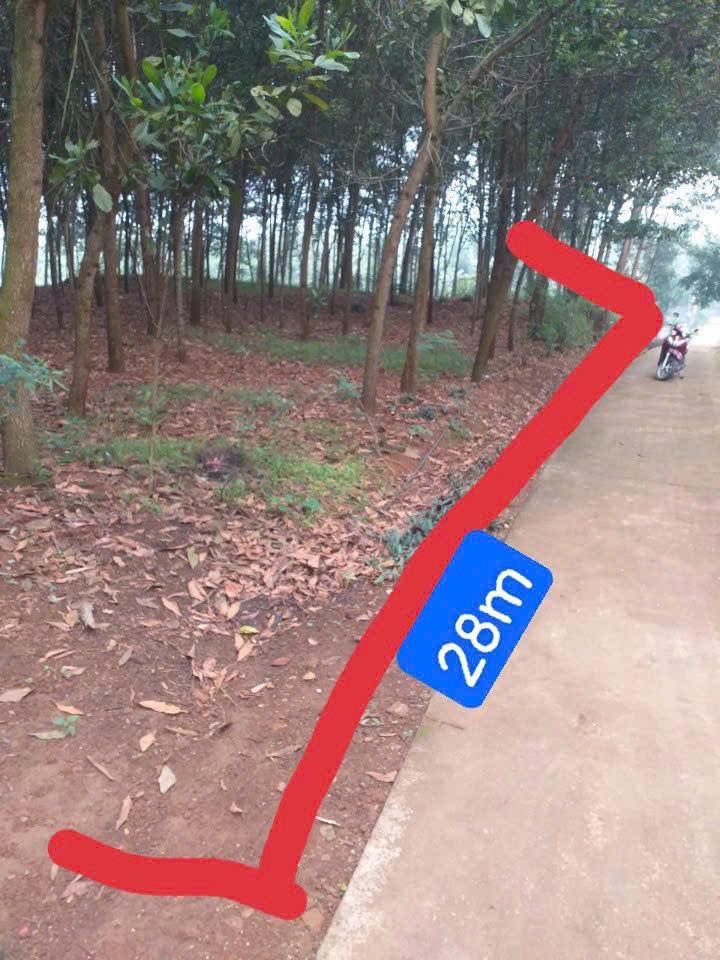 Đất nền xã Xuân Lập, huyện Thường Xuân 94m² chỉ 200 triệu - Cơ hội đầu tư hấp dẫn!