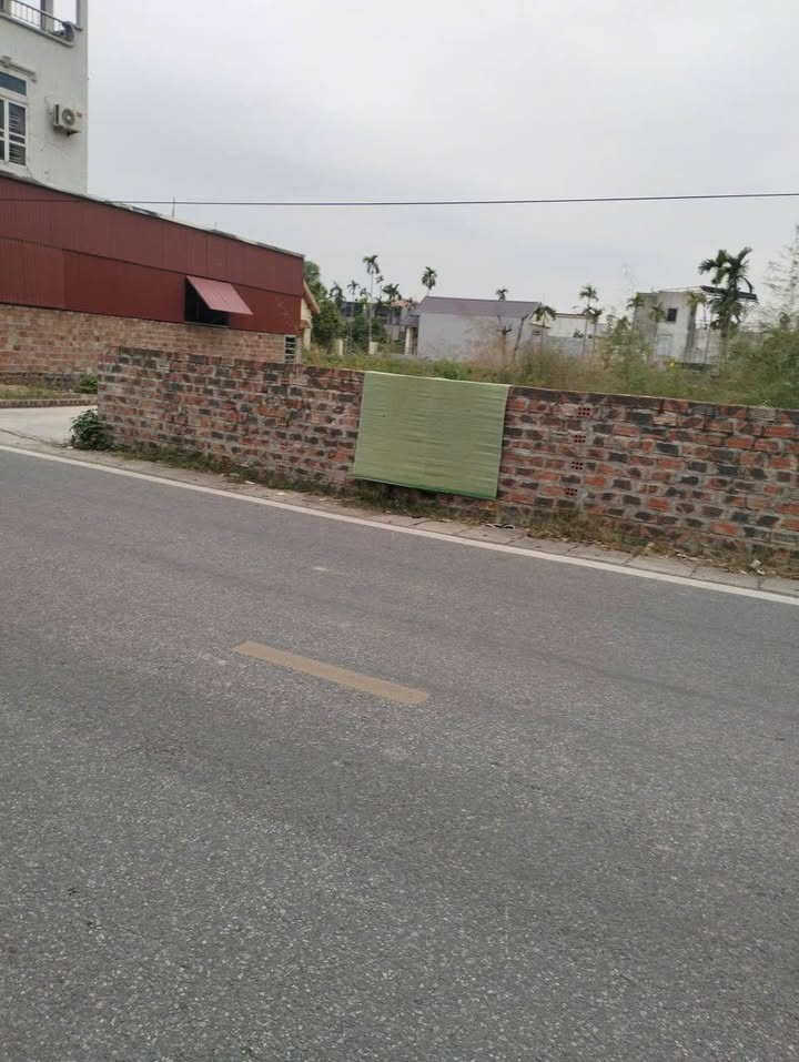 Đất nền lô góc đường 203, Lâm Động, Thủy Nguyên 82m² giá 4 tỷ - Đầu tư sinh lời ngay!