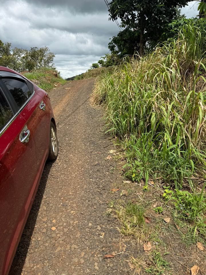 Đất nền mặt đường đá dăm Tuy Đức 9990m² giá chỉ 130 triệu - Cơ hội đầu tư hấp dẫn!