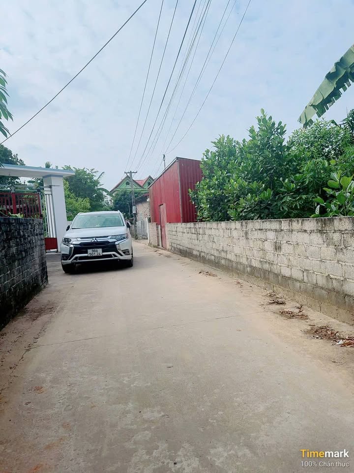 Đất nền 600m² phường Tân An, Yên Dũng, Bắc Ninh - Đầu tư sinh lời hấp dẫn!