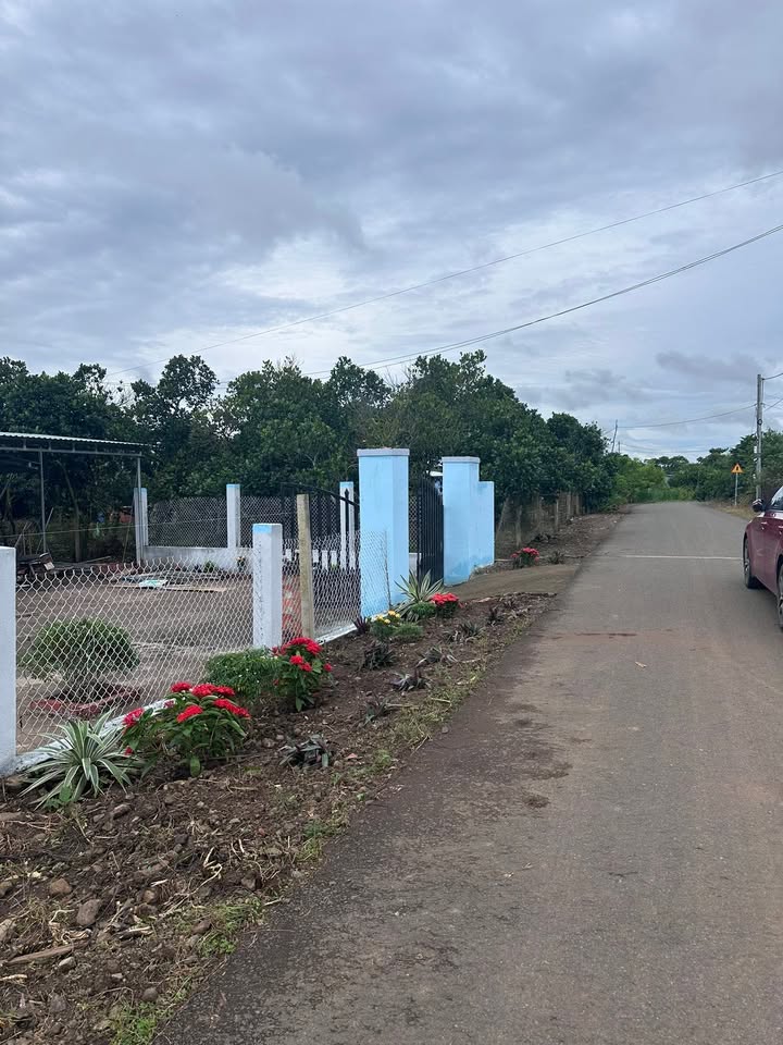 Nhà vườn cấp 4 Nghĩa Thành 646m² giá 1.15 tỷ - Tiềm năng cao, sẵn sàng ở ngay!