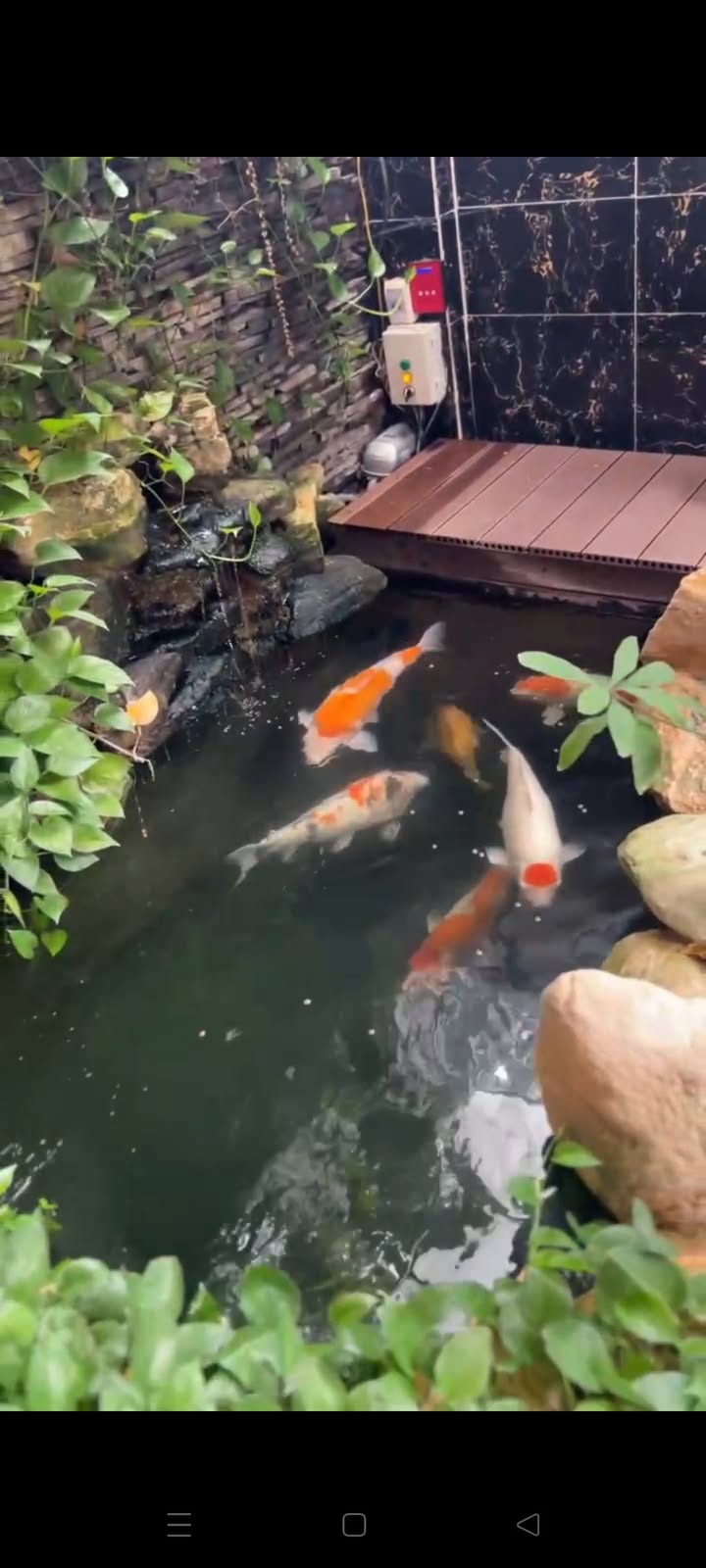 Nhà phố hẻm ô tô Phạm Hồng Thái, Vũng Tàu 105m² giá 8.2 tỷ - Nội thất gỗ Đỏ xịn!