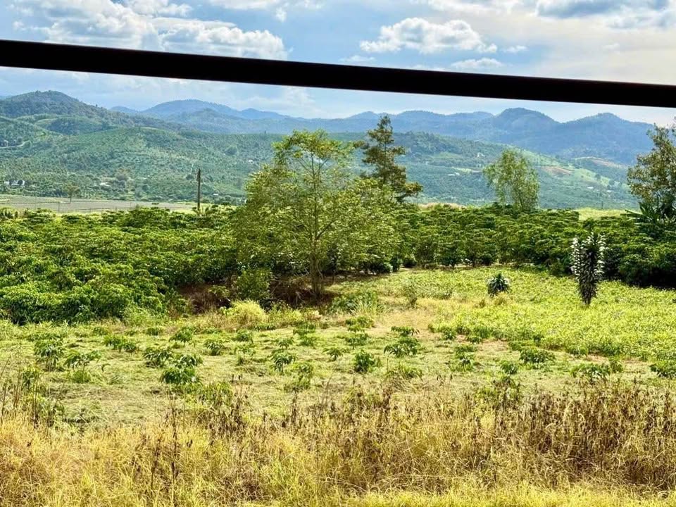 Đất nền 2 sào 3 đường số 16, Bảo Lộc 1.22 tỷ - Đầu tư sinh lời ngay!