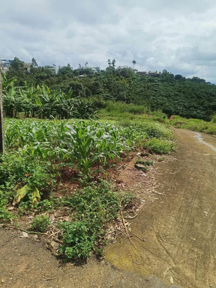 Đất nền lô góc 2 mặt tiền thôn 1 Lộc Ngãi Bảo Lâm 180m² - Đối diện uỷ ban xã!