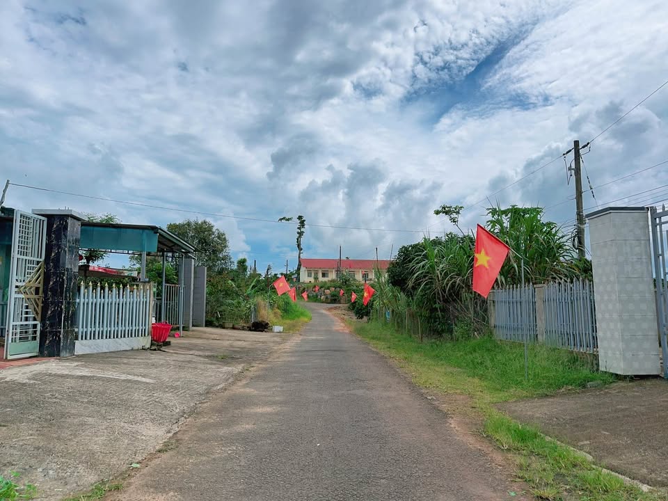 Đất nền Lộc Đức Bảo Lâm 540m² giá 850 triệu - Đầu tư sinh lời ngay!