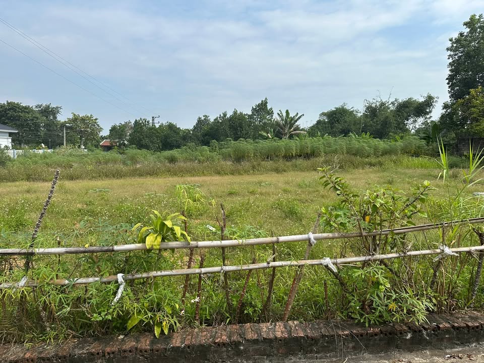 Đất nền Hiền Lương, Hạ Hòa 343m² - Giá chỉ 500 triệu, cơ hội đầu tư hấp dẫn!