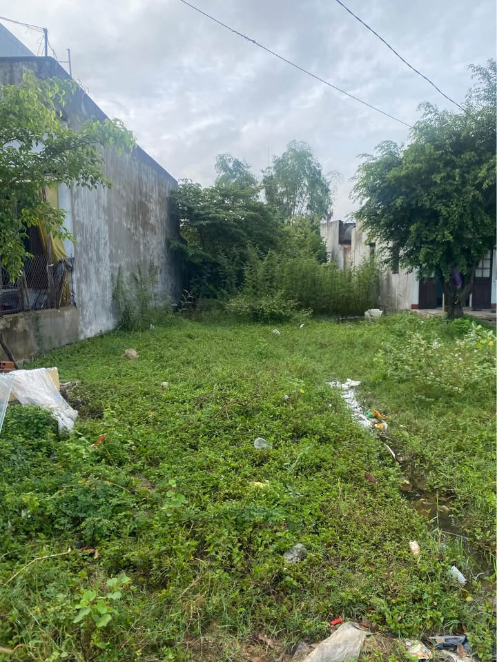 Đất nền đẹp Phước Thuận - Tuy Phước, 88m² giá 1.25 tỷ - Đầu tư sinh lời cao!