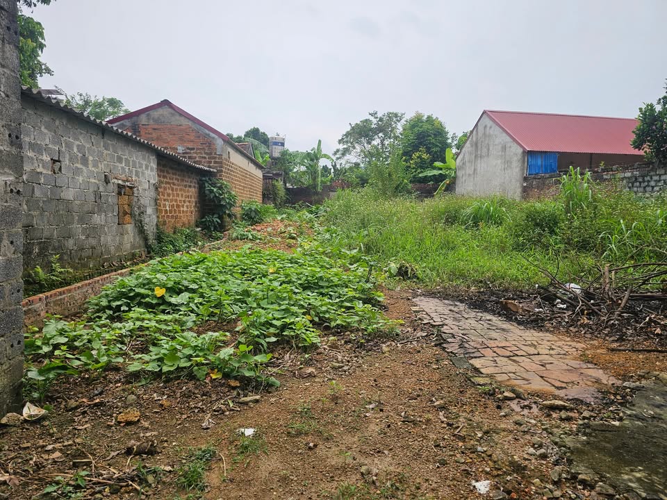 Đất thổ cư 160m² tại Đông Hạ, Quốc Oai chỉ 1 tỷ - Cơ hội đầu tư tuyệt vời!