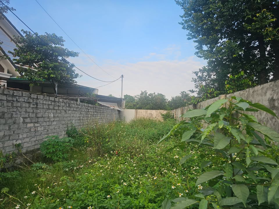 Đất nền 100m² tại Hòa Thạch - Quốc Oai chỉ vài trăm triệu - Đầu tư sinh lời ngay!