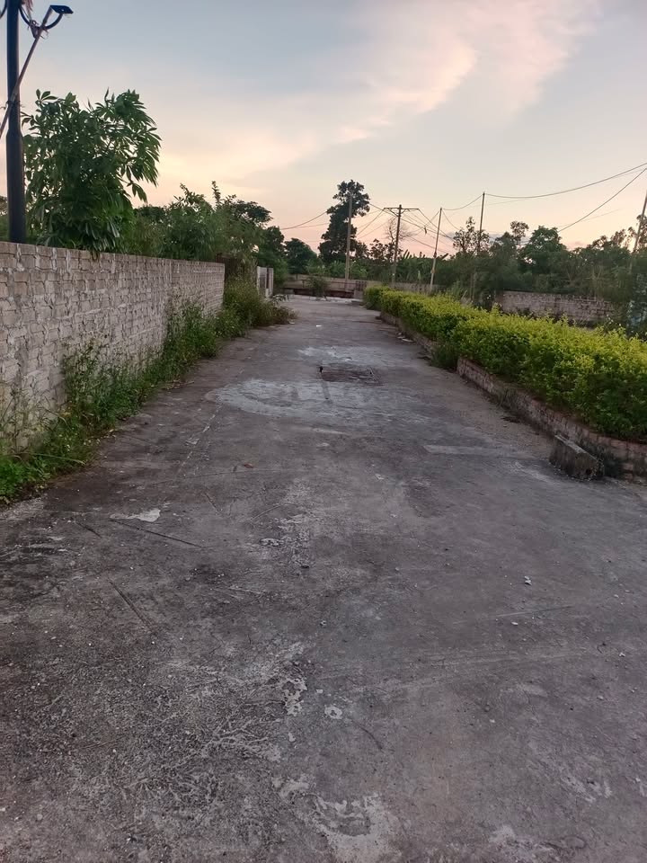 Đất nền Cẩm Phú 75m² giá chỉ 295 triệu - Cơ hội đầu tư hiếm có!