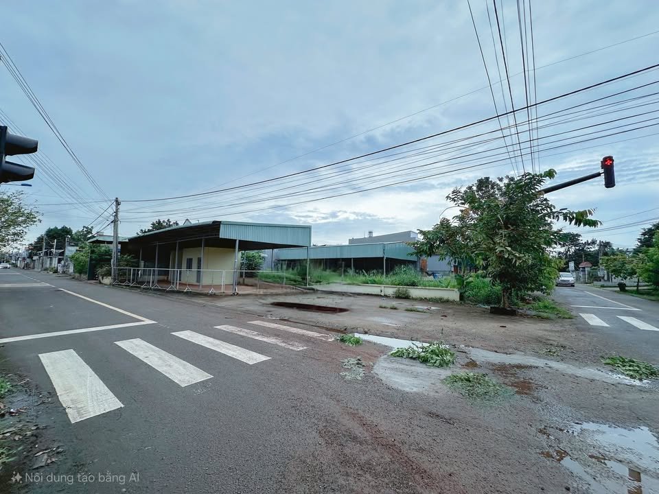 Bán góc 2 mặt tiền đường Nguyễn Chí Thanh, Long Khánh 221.4m² - Đầu tư sinh lời ngay!