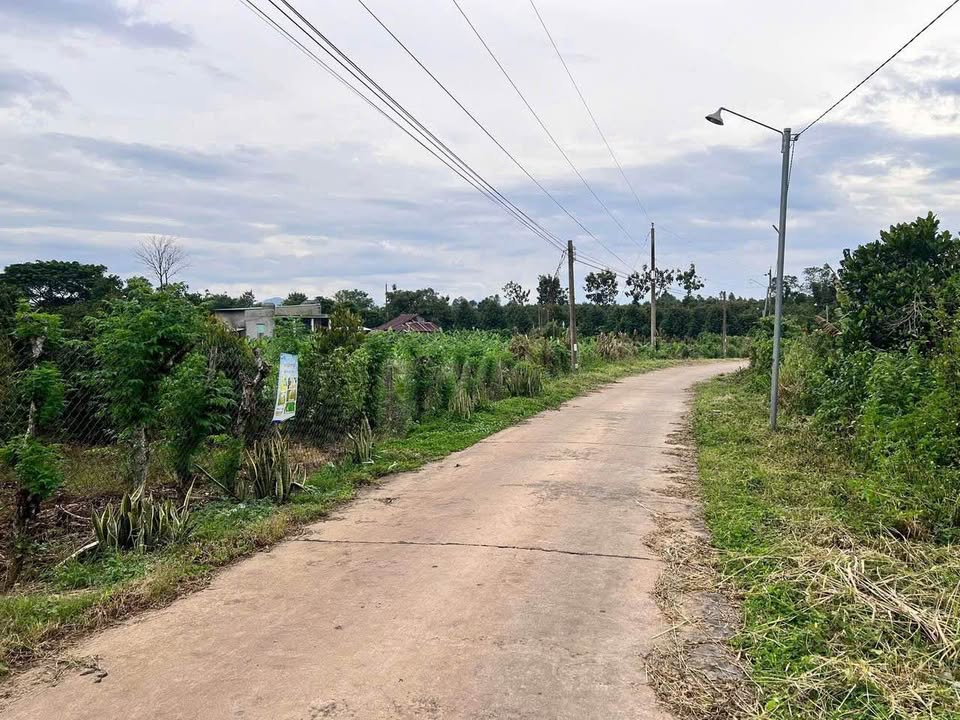 Đất nền xã Phú Tân, huyện Định Quán, 200m² giá 390 triệu - Sổ đỏ chính chủ!