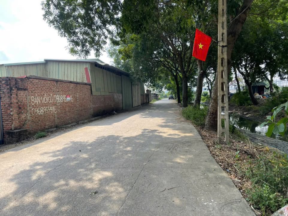 Cho thuê xưởng 1500m² Thụy Lâm, Đông Anh - Phù hợp sản xuất ngay!