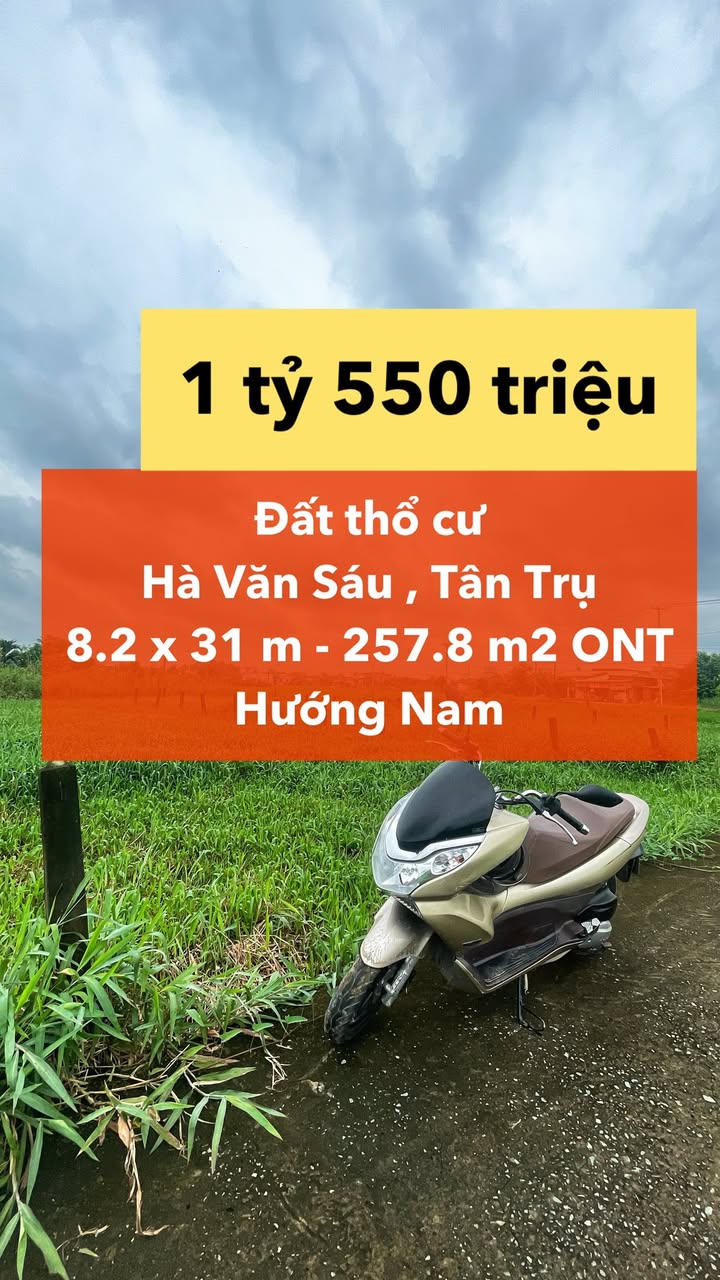 Đất thổ cư Tân Trụ, Long An 257m² giá 1.55 tỷ - Hướng Nam, vị trí đắc địa!