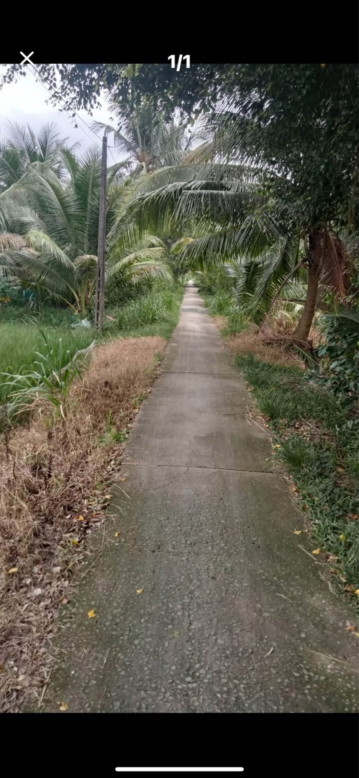 Đất nền 1000m² tại Đa Lộc, Châu Thành, Trà Vinh - Giá chỉ 255 triệu hấp dẫn!