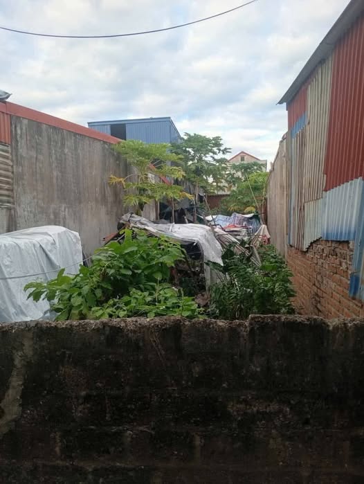 Đất nền Trường Sơn An Lão 92m² giá chỉ 800 triệu - Cơ hội đầu tư hấp dẫn!