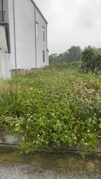 Đất nền Vĩnh Linh Quảng Trị 196m² giá chỉ 2.058 tỷ - Sổ đỏ chính chủ!