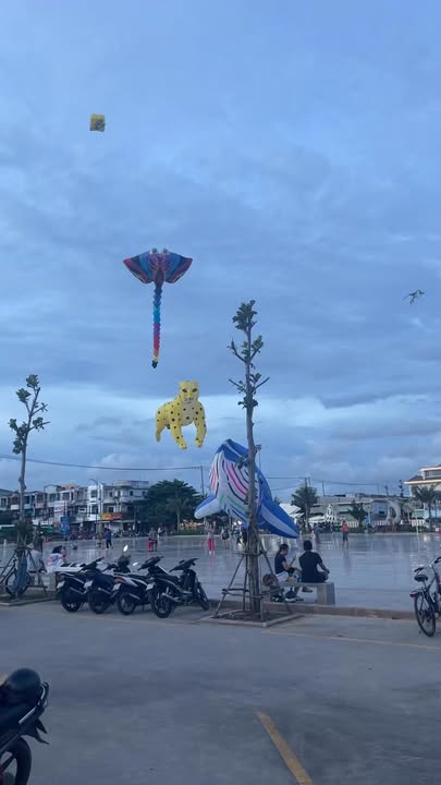 Đất nền Phước Hải, Đất Đỏ 100m² – Vị trí lý tưởng, giá thỏa thuận!