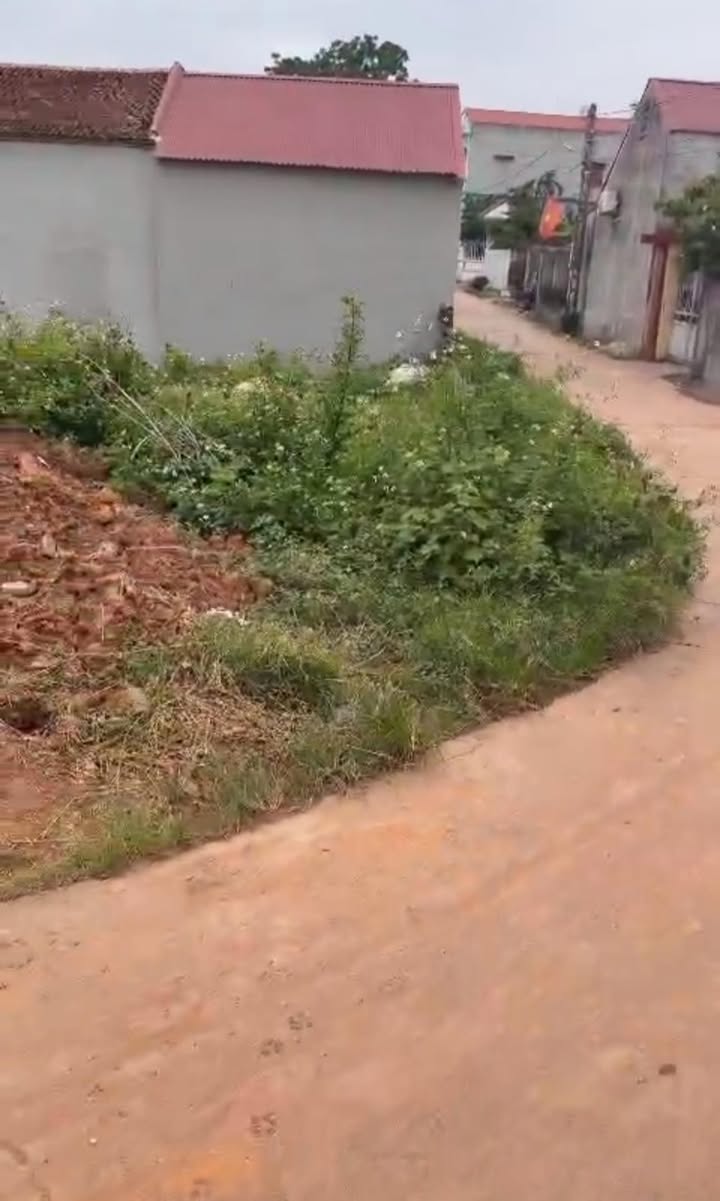 Lô đất 163.8m² tại thị trấn Cao Thượng, Tân Yên - Giá chỉ 1 tỷ, đầu tư sinh lời cao!