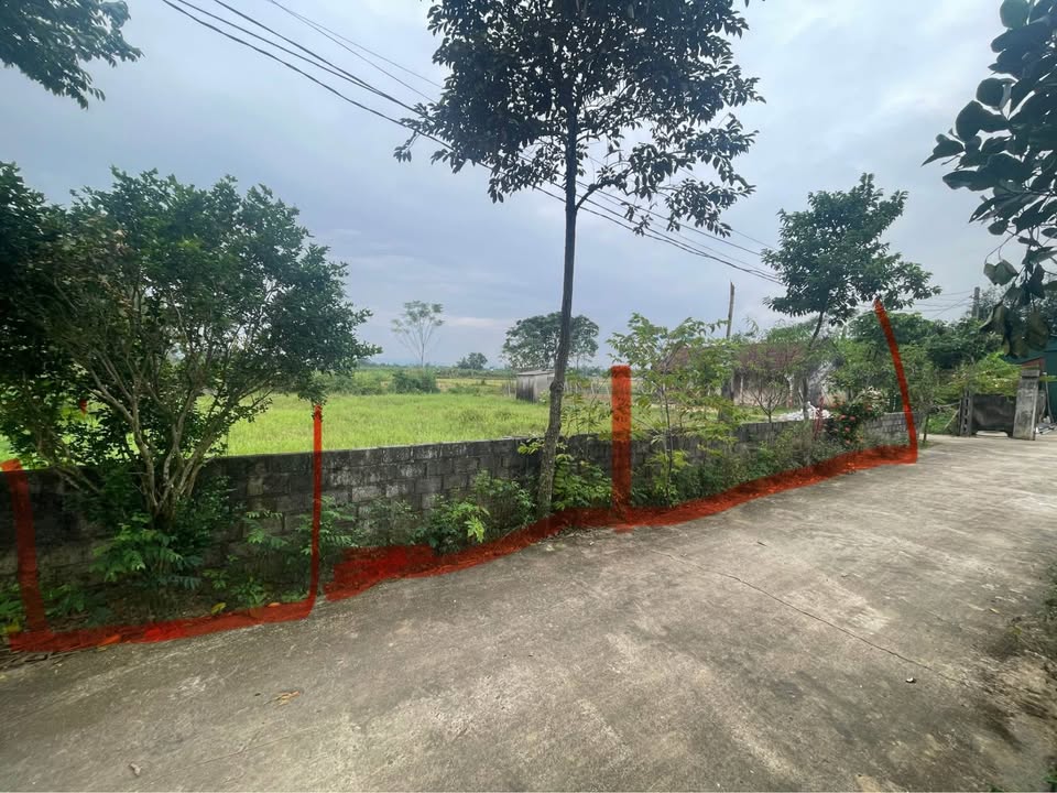 Đất nền liền kề 160m² tại Thạch Thành - Hướng Đông, giá 380 triệu - Sổ đỏ chính chủ!