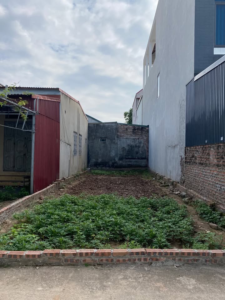 Đất nền Phúc Hòa, Phúc Thọ 86.5m² giá chỉ 3x triệu/m² - Cơ hội đầu tư hấp dẫn!