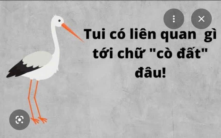 Đất nền Xích Thổ Nho Quan Ninh Bình 650m² - Vị trí đẹp, giá thỏa thuận!