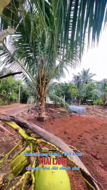 Đất vườn 500m² Bảo Vinh Long Khánh giá 1.19 tỷ - Không gian an yên lý tưởng!