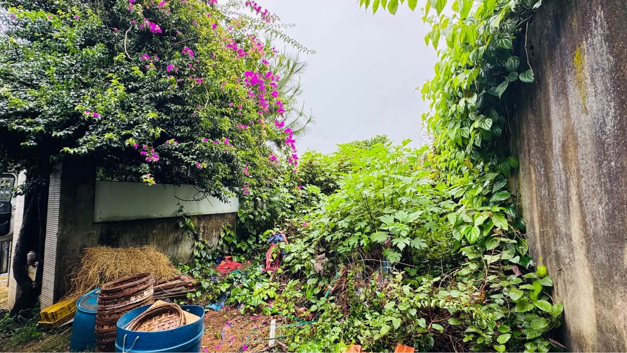 Đất hẻm 06 Lương Ngọc Quyến, 215m² giá 1.55 tỷ - Đầu tư sinh lời tại Pleiku!