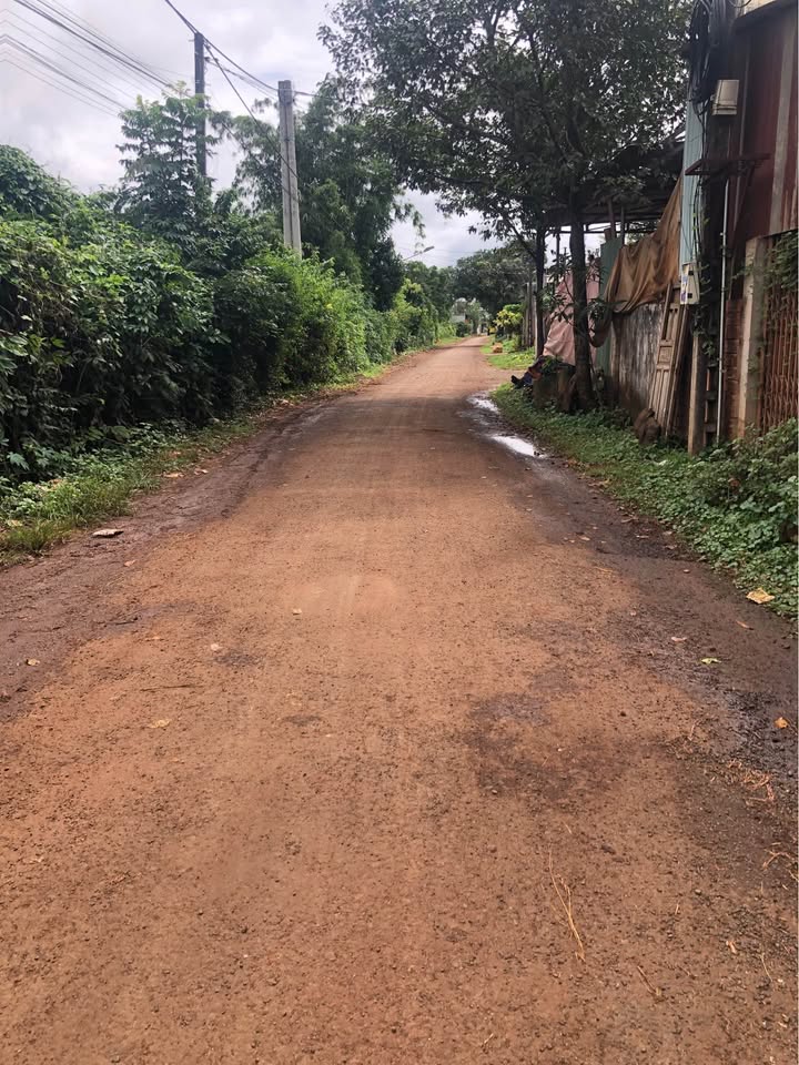 Đất nền Chư Sê 301m² giá thỏa thuận - Vị trí gần chợ, thuận tiện kinh doanh!