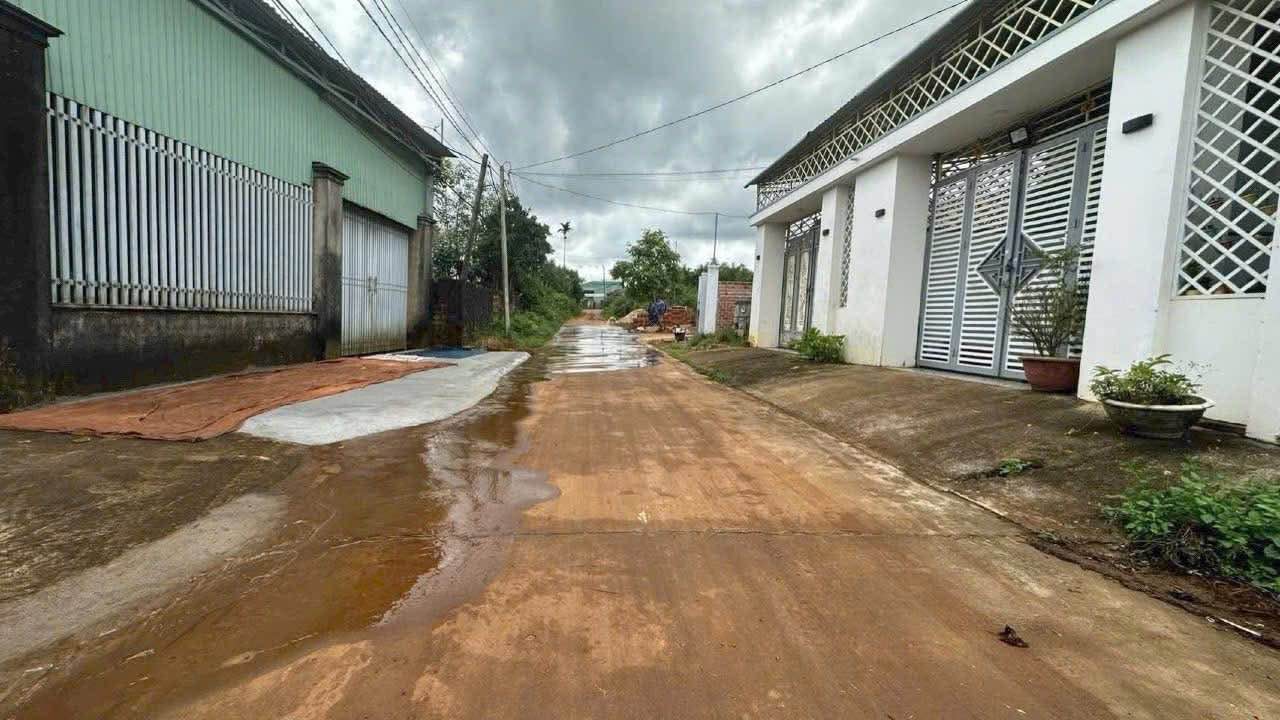 Đất thổ cư 495m² tại Lý Chính Thắng, Hội Phú - Giá chỉ từ 4xx triệu!